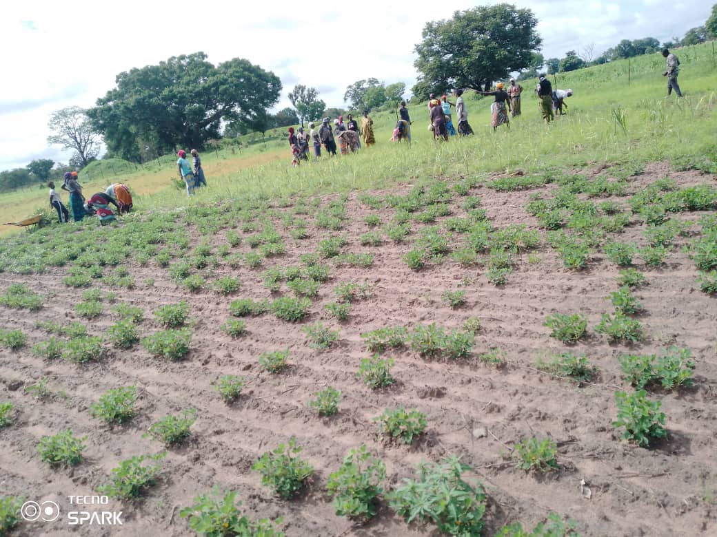 553205995_122147613848911140_6539270020279438830_n (1)