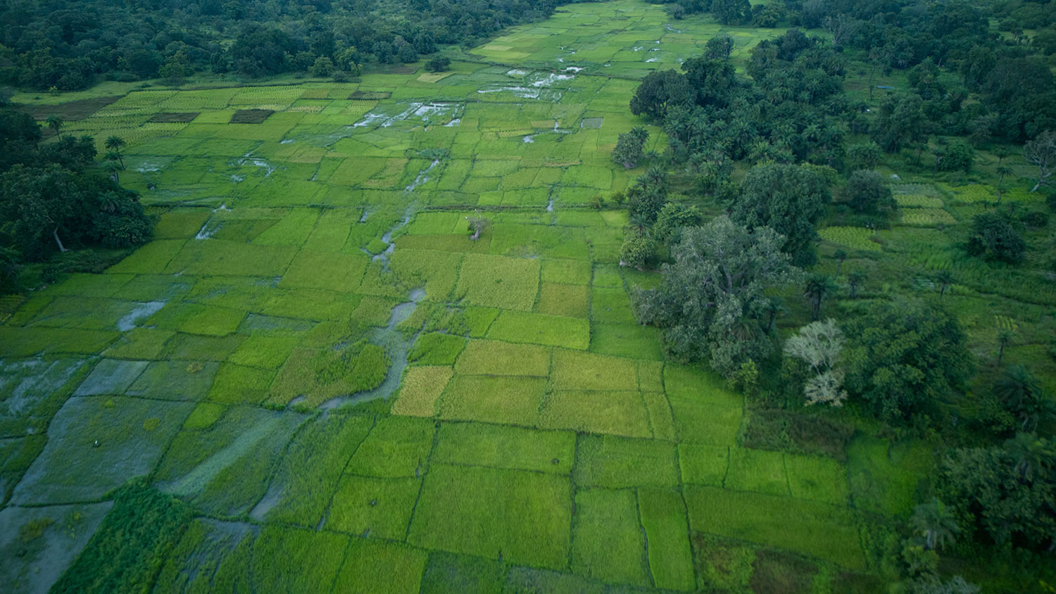 DJI_20251027183953_0167_D