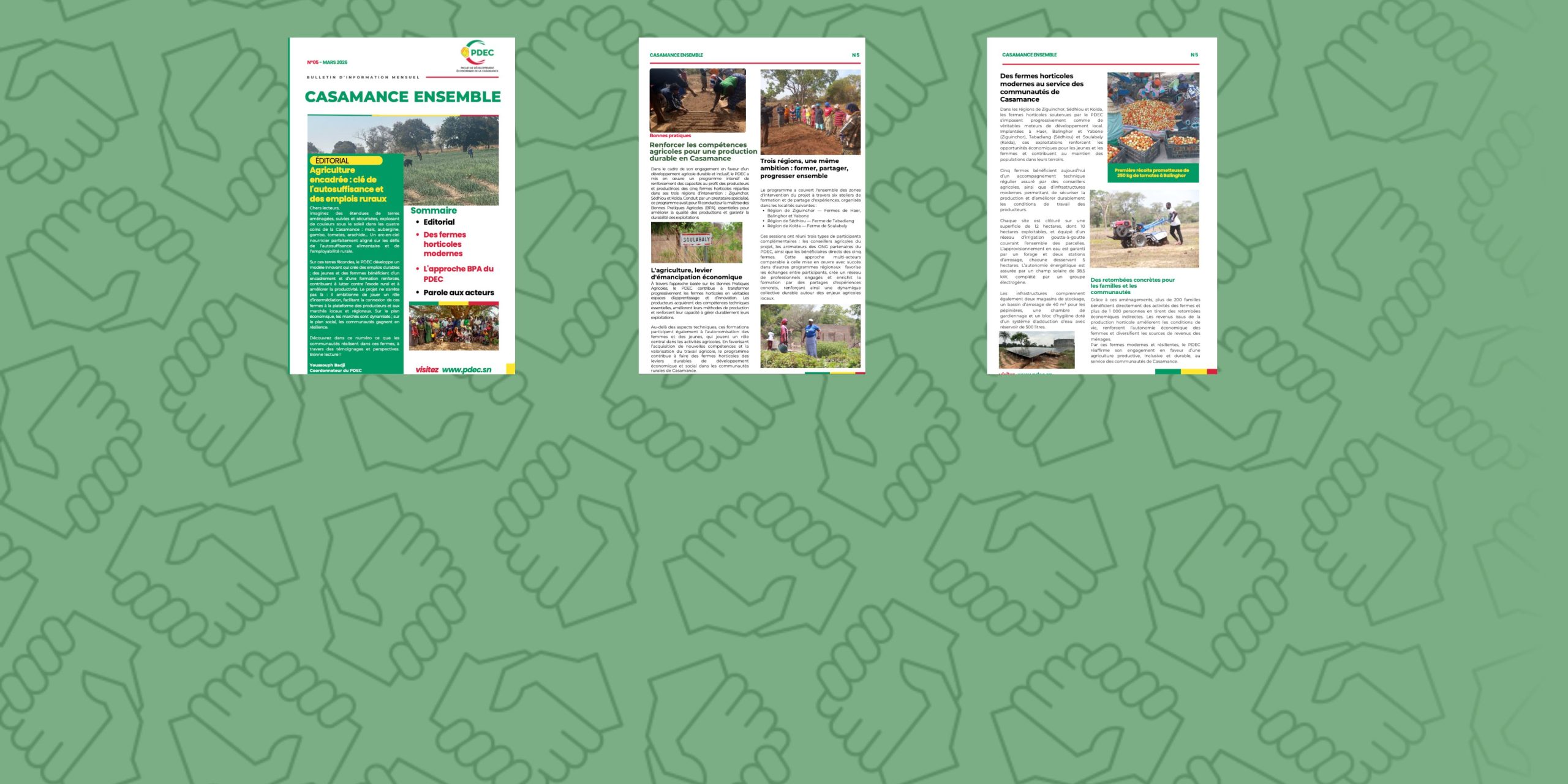 Casamance Ensemble N 5– Le Bulletin d’Information du PDEC est en ligne