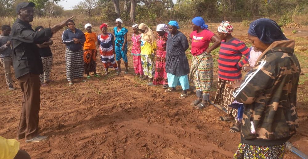 Renforcement des capacités agricoles : Le PDEC forme les producteurs des fermes horticoles aux Bonnes Pratiques Agricoles.
