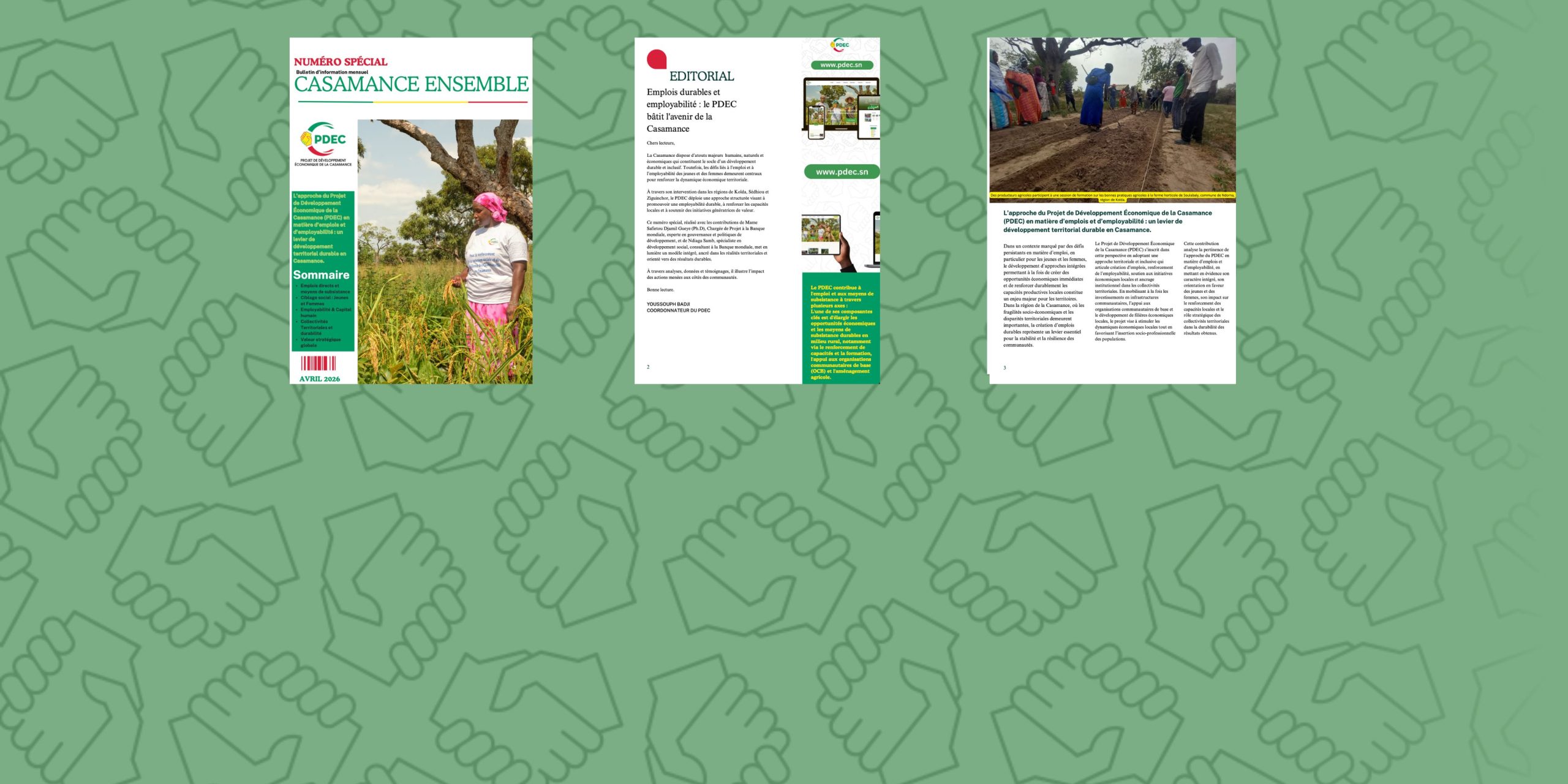 Casamance Ensemble – Édition spéciale emploi et employabilité